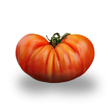 German Johnson Tomato Seeds - The Pepper Pantry (Formerly Marie Sharp's)